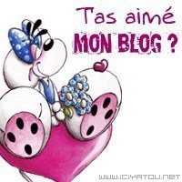 astoucarlou.vip-blog.com